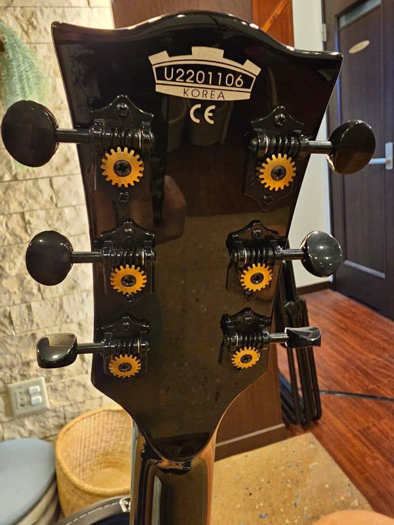 VOX Bobcat S66 with Bigsby ハードケース付き