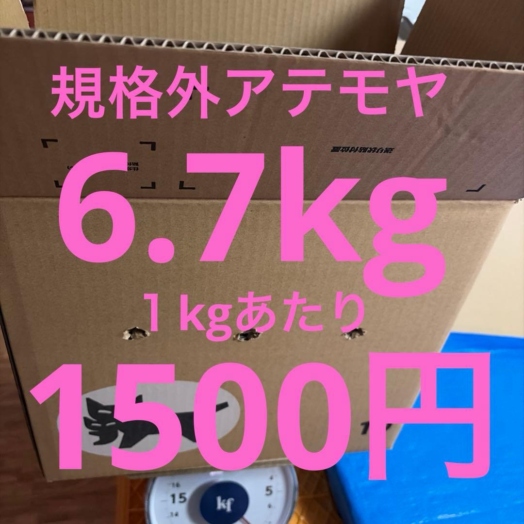 規格外アテモヤ１kgあたり1500円！アテモヤ6.7kg以上箱込み7.7kg。
