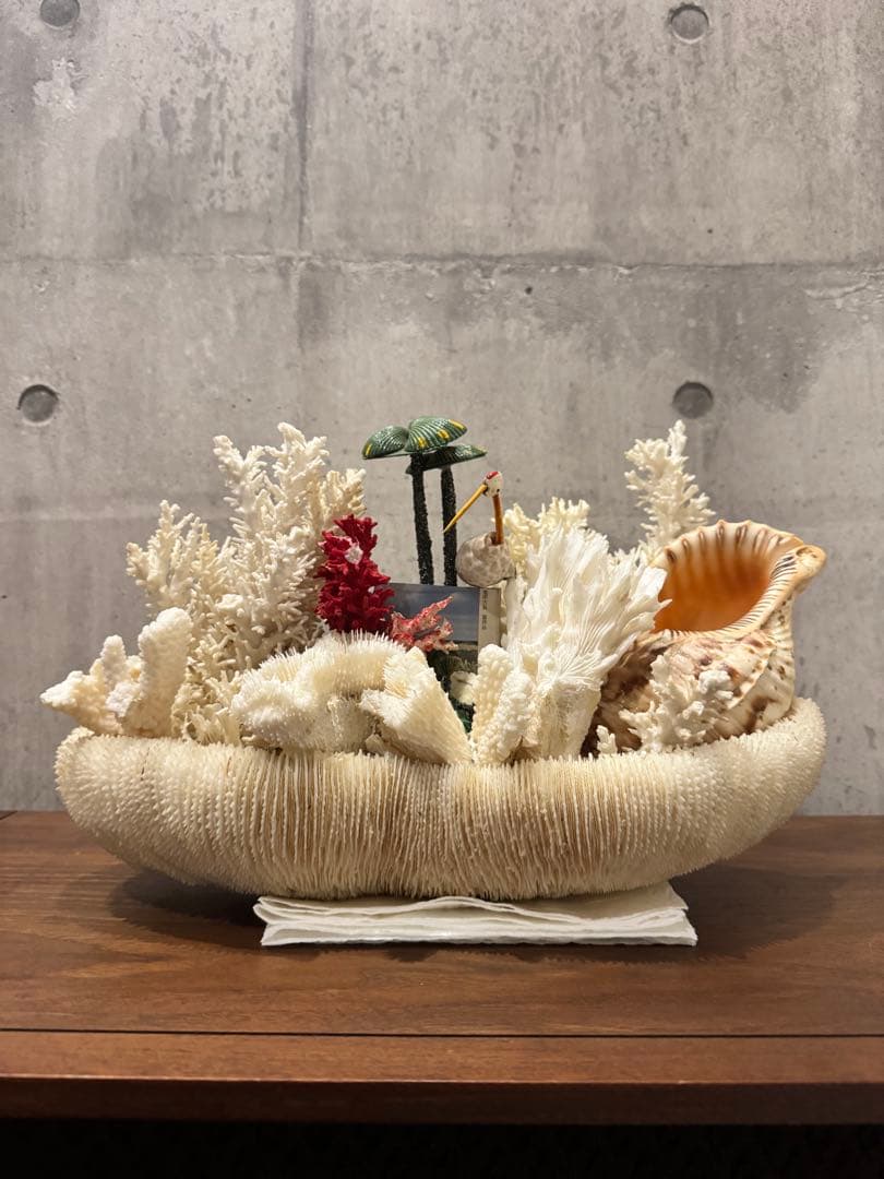 白珊瑚天然　オブジェ　アクアリウム　インテリア　デコレーション サンゴ