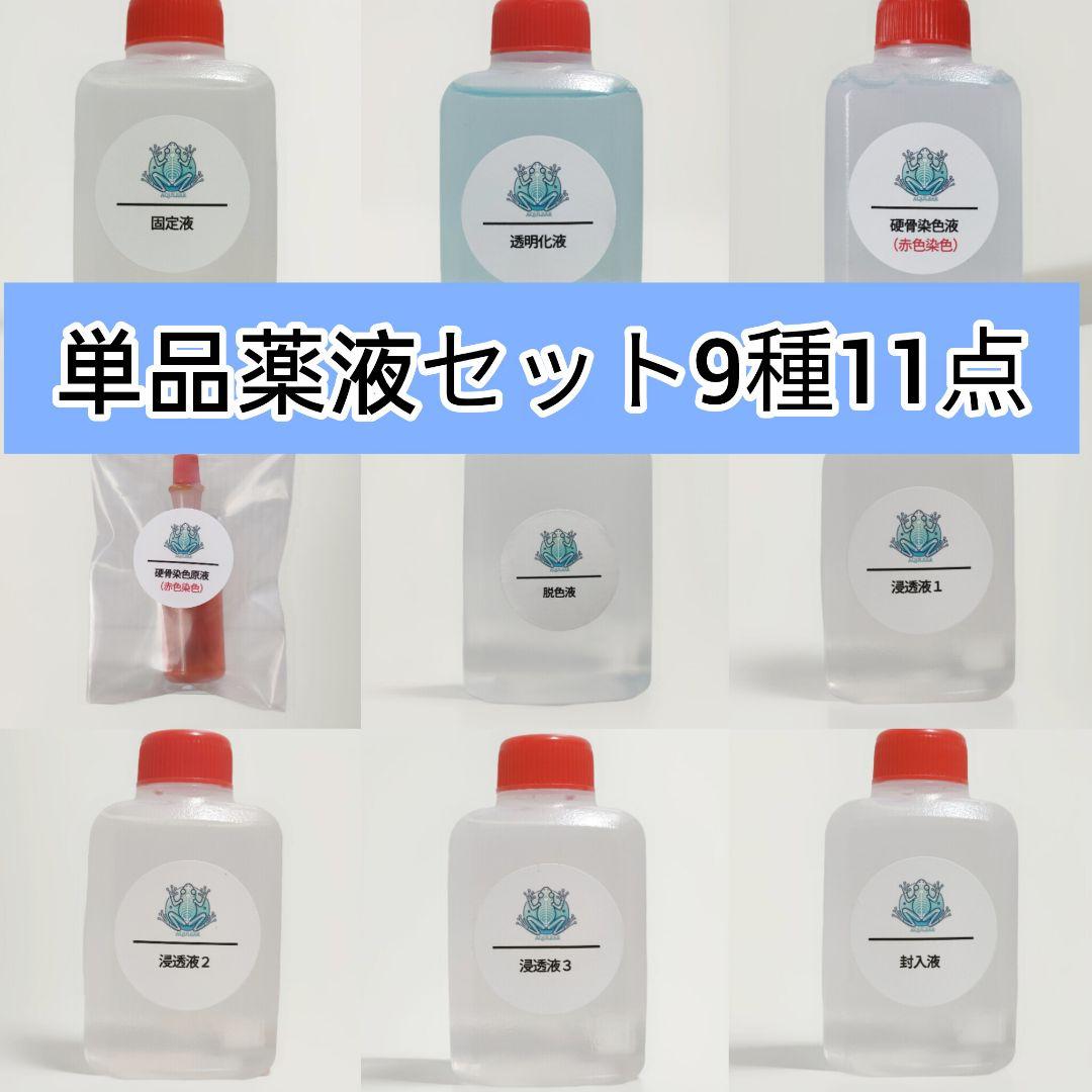 【透明標本作製キット】薬液のみ 全9種類 11点