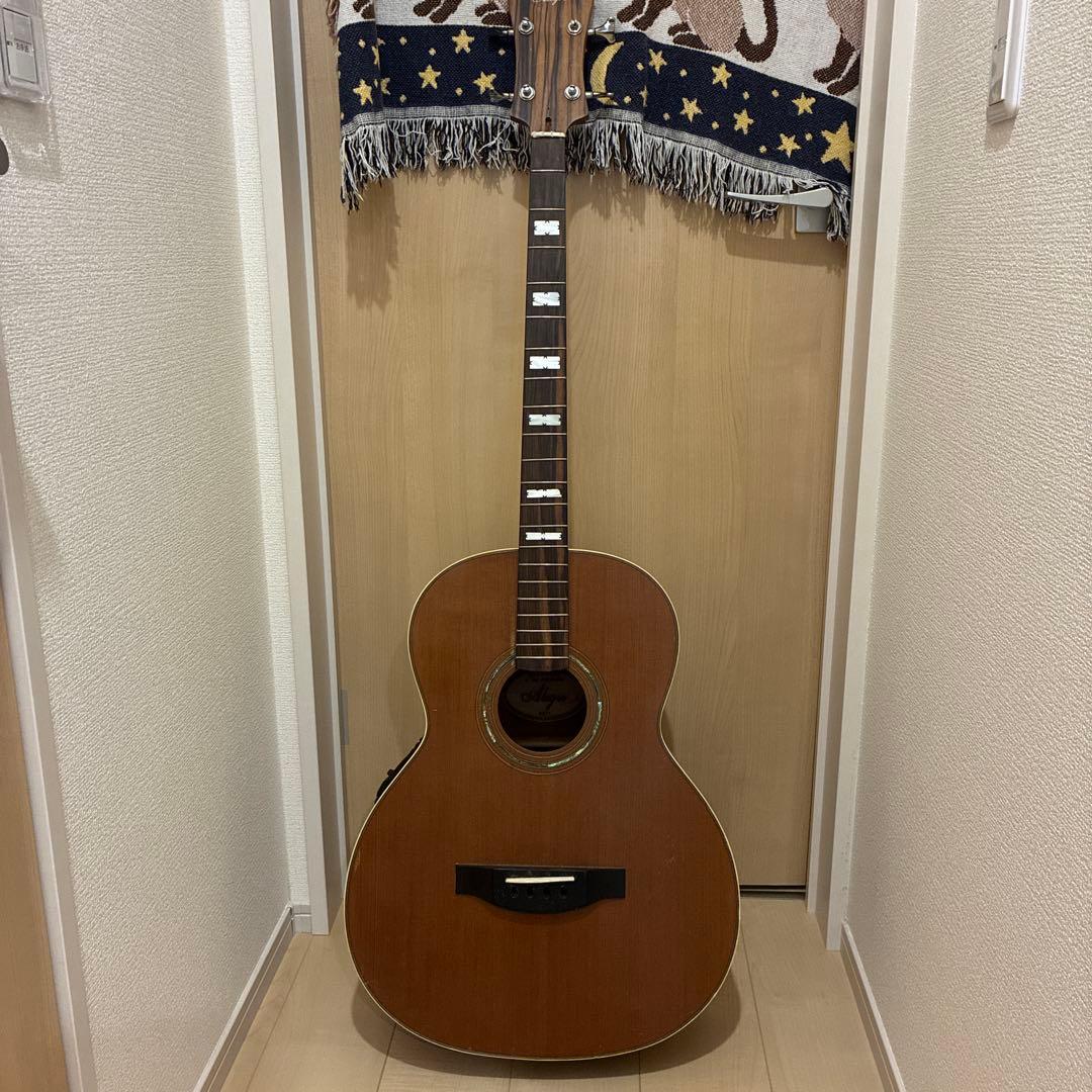 Alegre アコースティックベース　アンプ接続可能