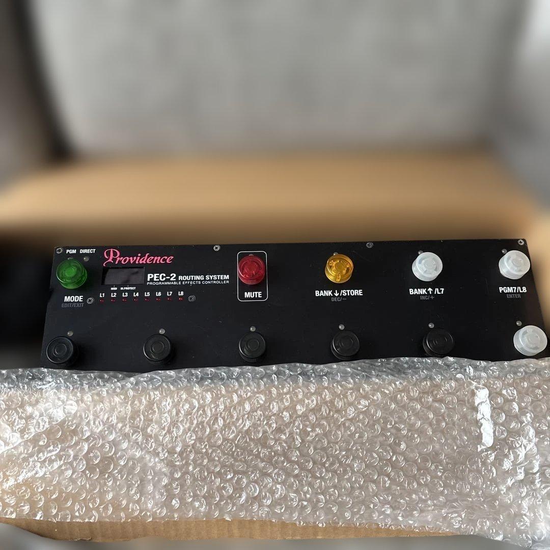 【明日午前中まで】Providence PEC-2 ②
