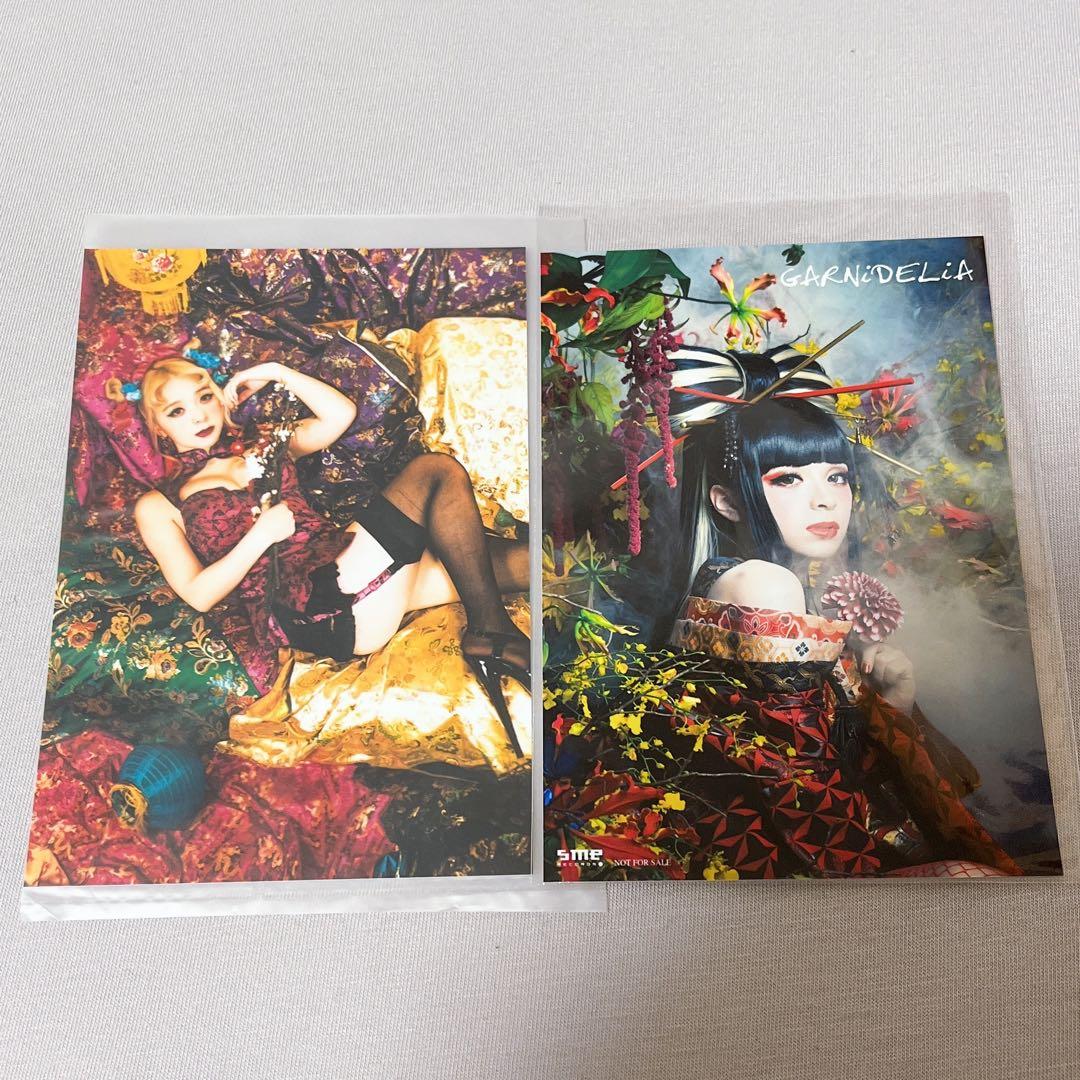 GARNiDELiA メイリア MARiA ブロマイド 生写真 美依礼芽 小美