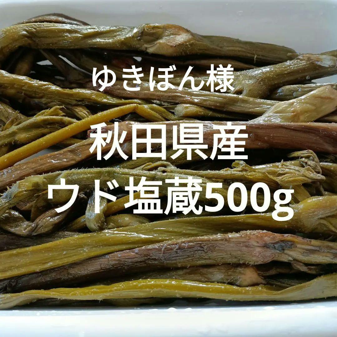 秋田県産ウド塩蔵★ウド塩蔵500g20袋