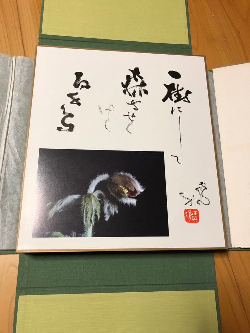 色紙 野の花・歳時記 上下巻セット