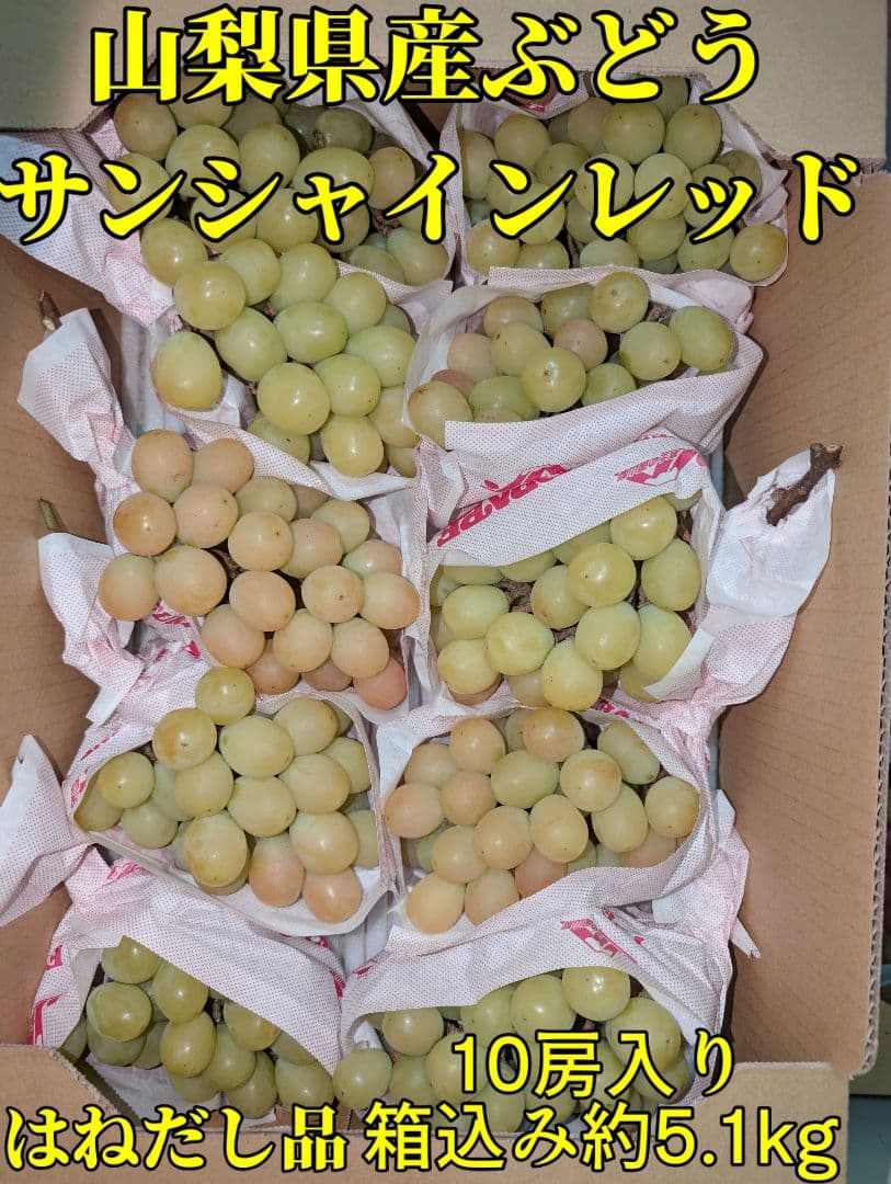 山梨県産ぶどう　サンシャインレッド　10房入り　箱込み約5.1kg