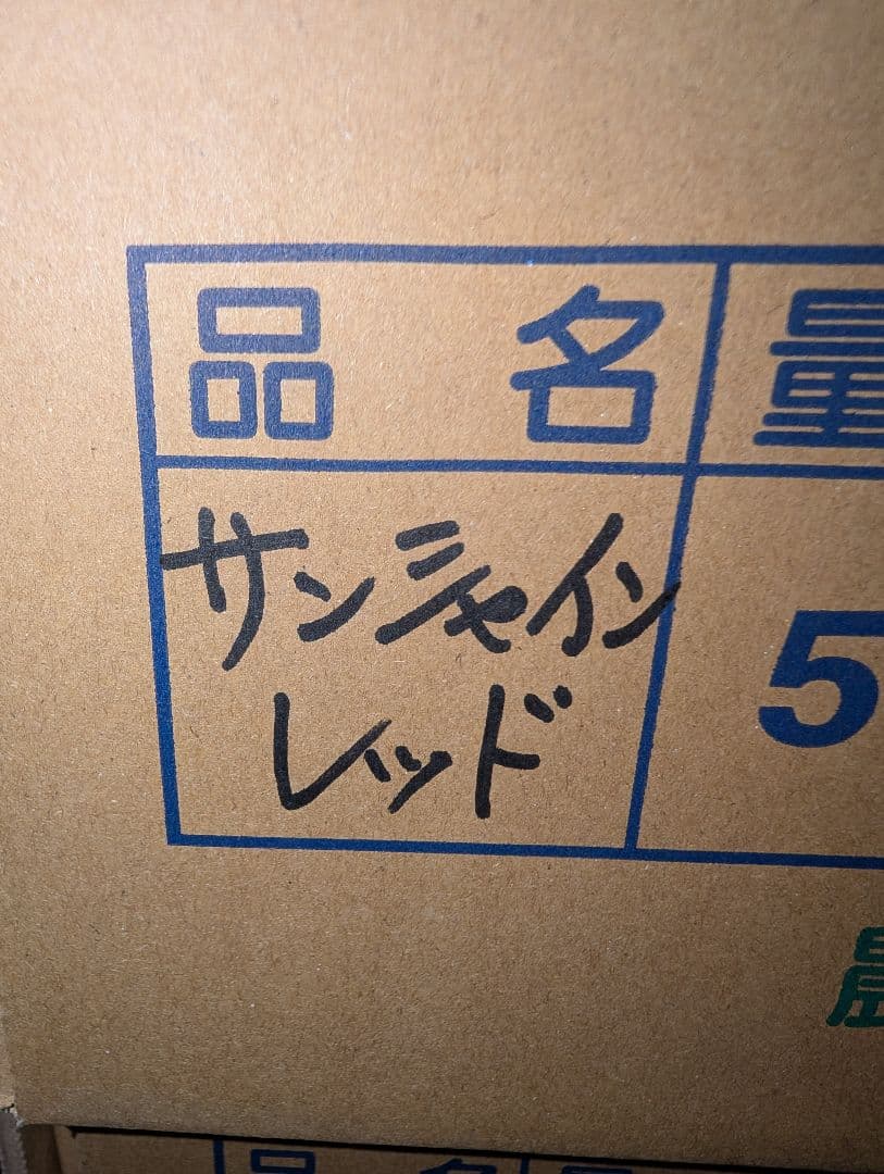 山梨県産ぶどう　サンシャインレッド　10房入り　箱込み約5.1kg
