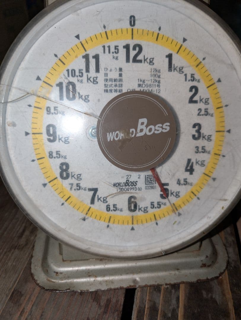 山梨県産ぶどう　サンシャインレッド　10房入り　箱込み約5.1kg