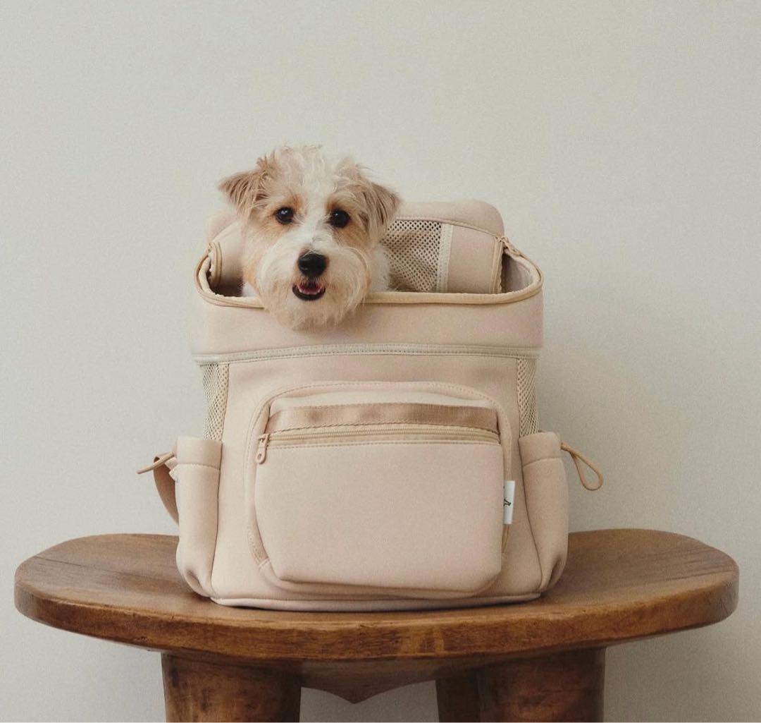 city dog 丸洗いキャリーバック（beige）