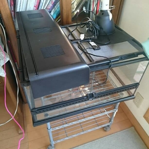 【英二さん専用】リクガメの飼育セット