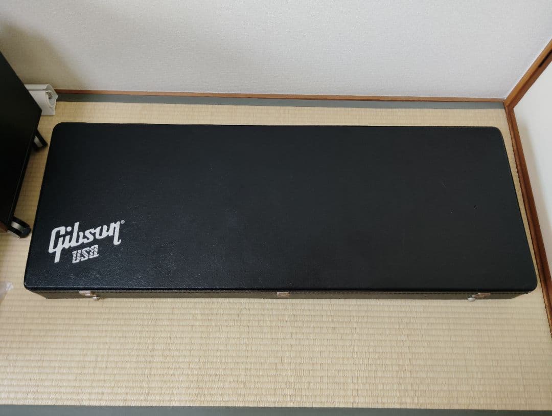 ホ*ー様 Gibson　Explorer　エクスプローラー　ギグバッグ　ストラッ