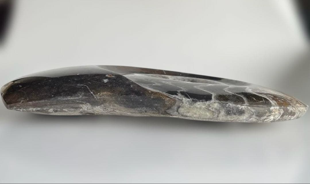 値下げ‼️【ビックサイズ 】アンモナイト化石26.5cm×31cm 4.5cm