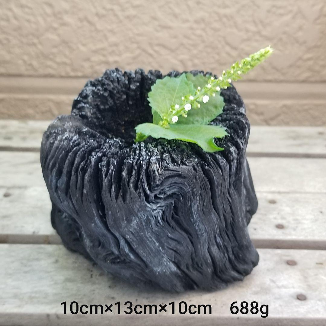 天は皿状　紀州備長炭オブジェ　一点もの　希少