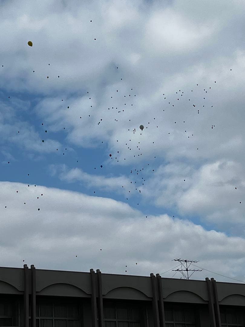 SUNLINE フィッシングベスト SPECIALIST ブラック