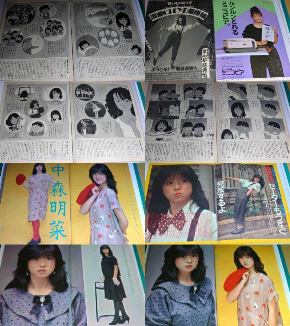 中森明菜　1982年〜1986年 大量　切り抜き　ファイル　2冊　120P