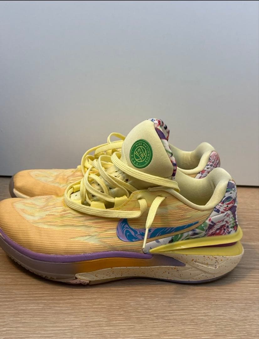 【希少】GT Cut 2 NN EYBL Nationals