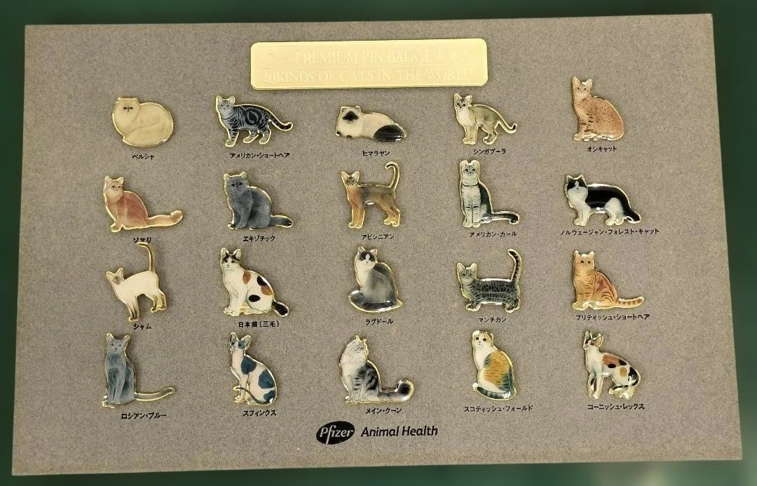 ファイザー社　世界の猫ピンバッチ　額入り　セット
