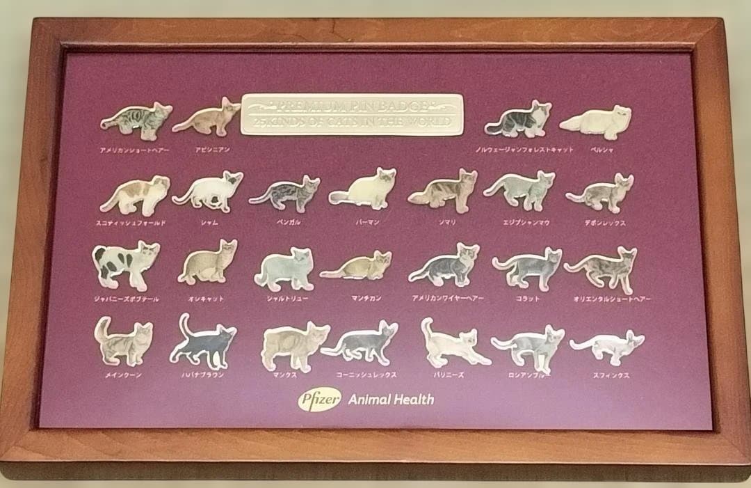 ファイザー社　世界の猫ピンバッチ　額入り　セット