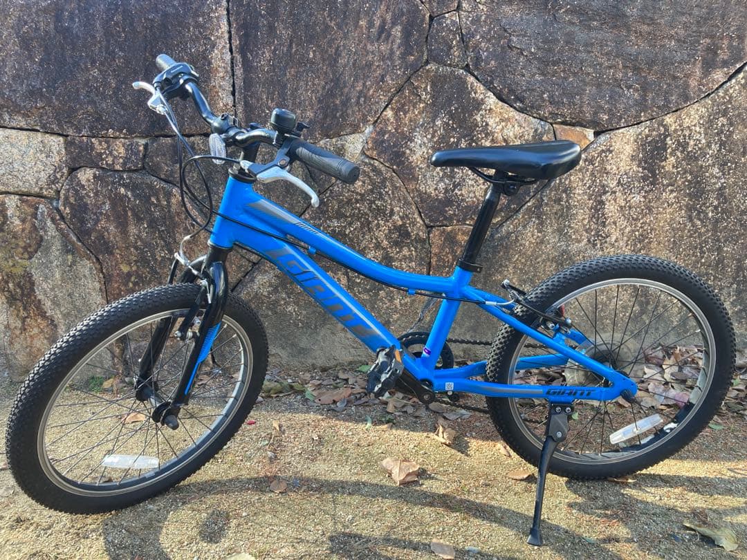 【bridgeworks】Giantキッズバイク　20インチ
