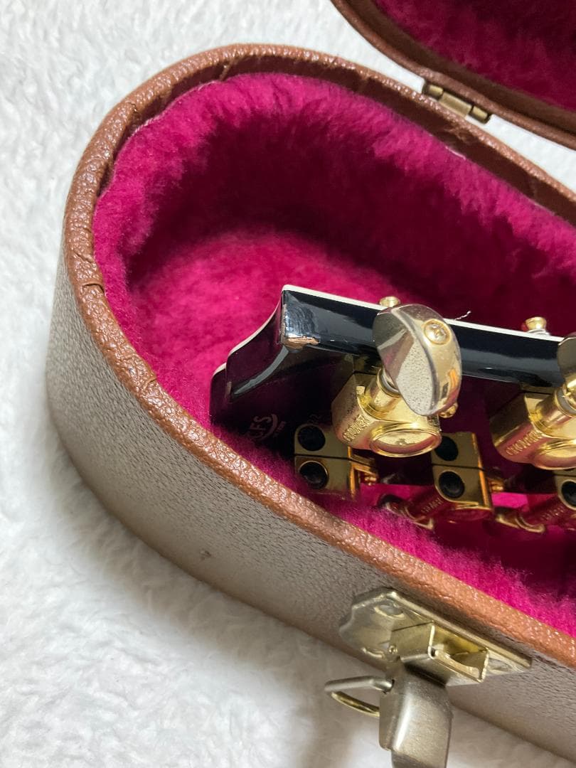 Cool Z Les Paul Custom DiMarzioピックアップ