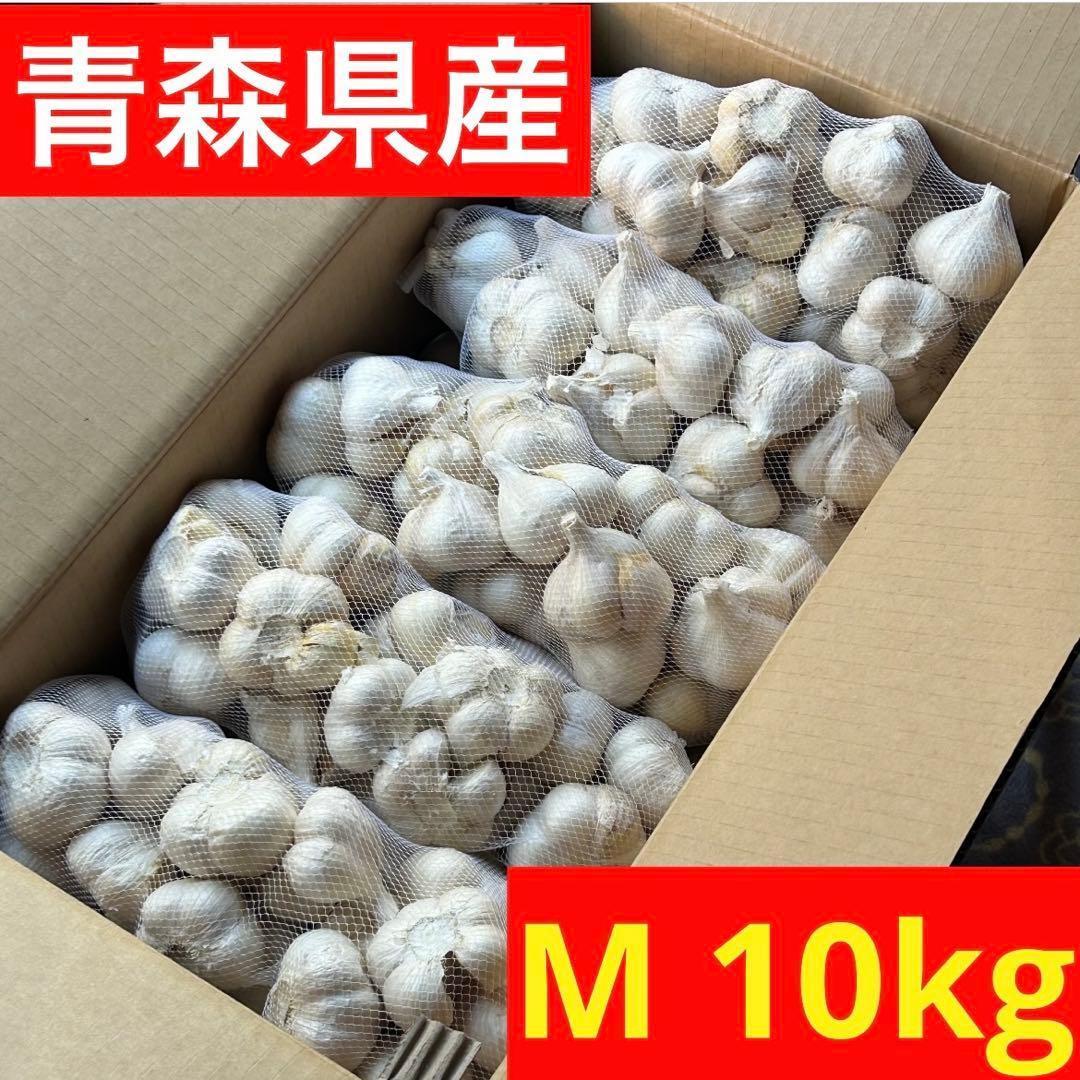 【お買い得セール】青森県 福地ホワイト にんにく M 10kg 　黒にんにく加工