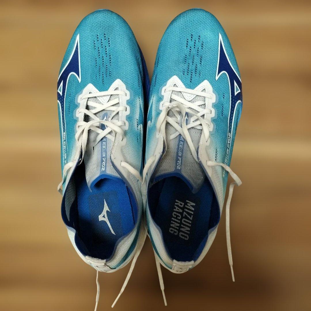 ミズノ ウエーブリベリオンプロ２ 29.0cm