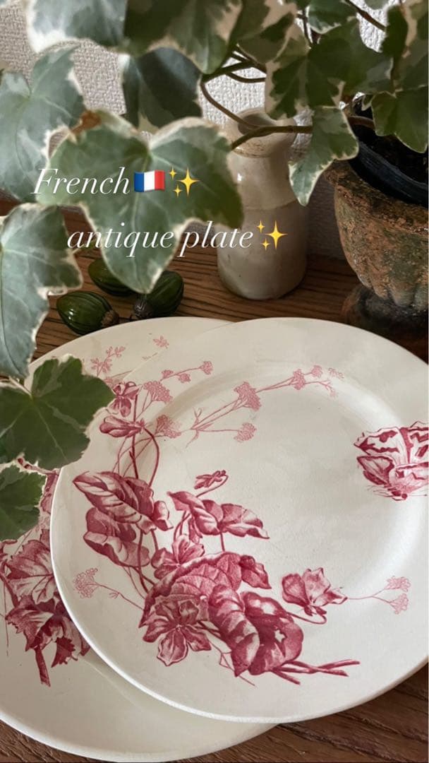 *️⃣プロフ必読❣️1枚の価格 Bアンティーク フランス プレート