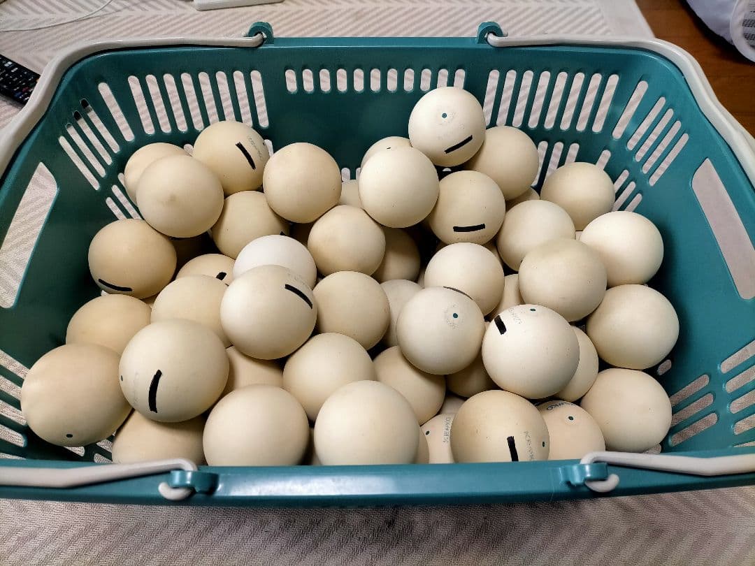 ソフトテニスボール【87球】ケンコーボール