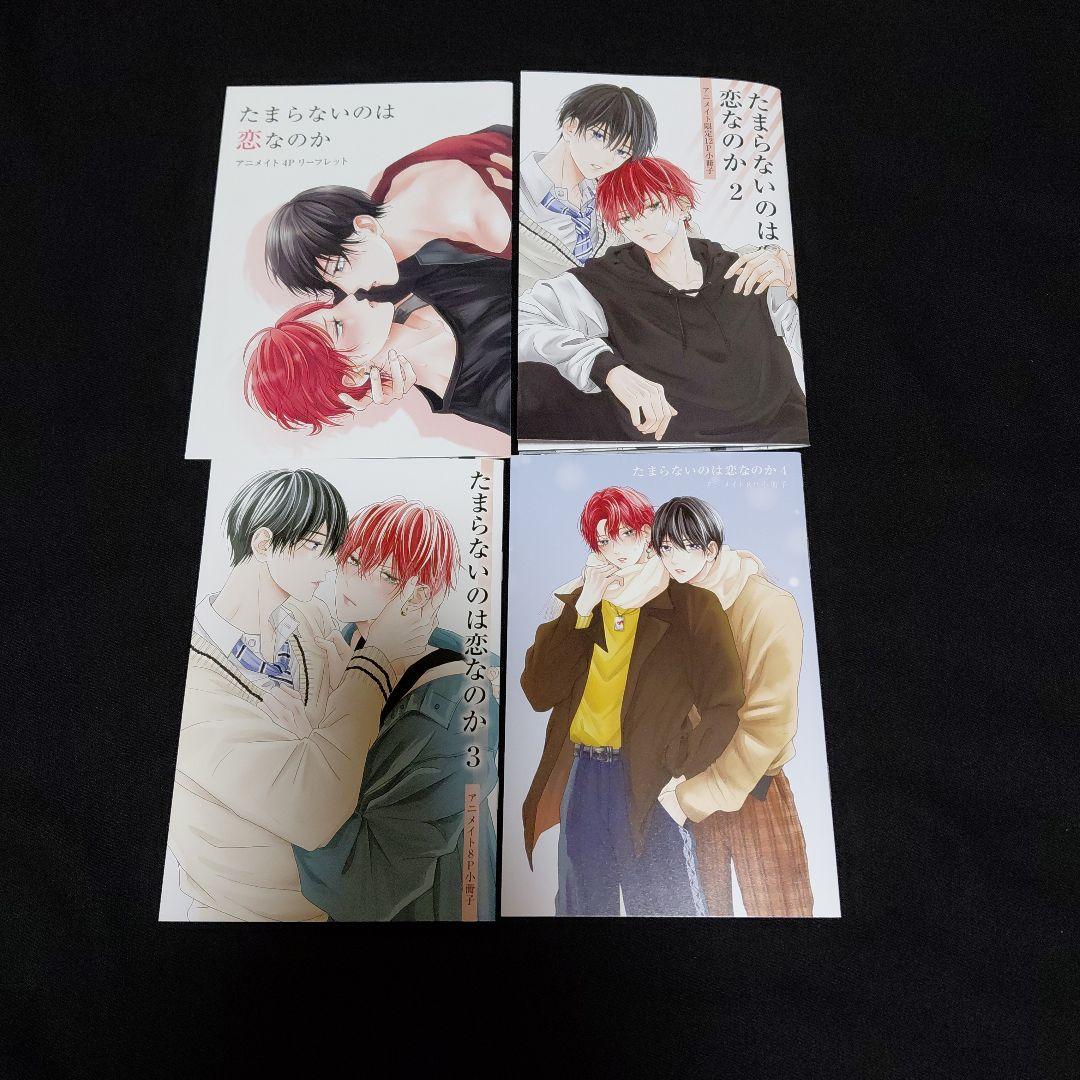 たまらないのは恋なのか　小冊子