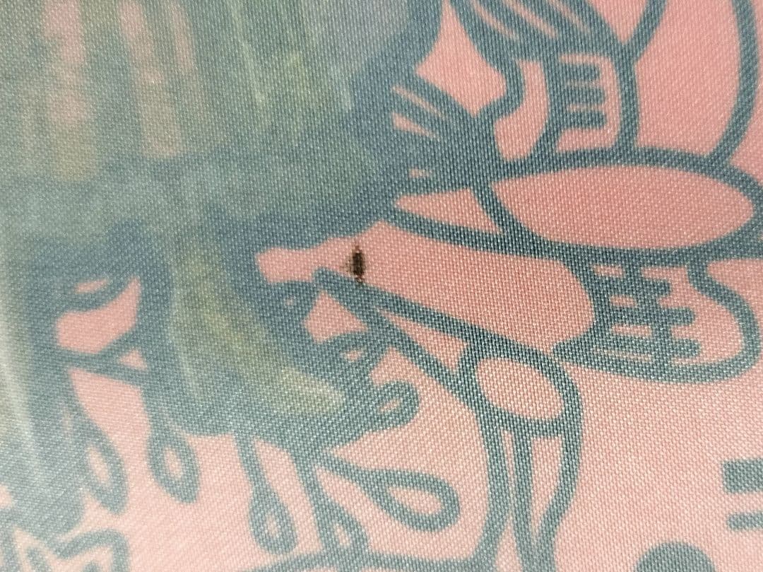 第五人格 identityV ナムコキャンペーン A2タペストリー 希少品