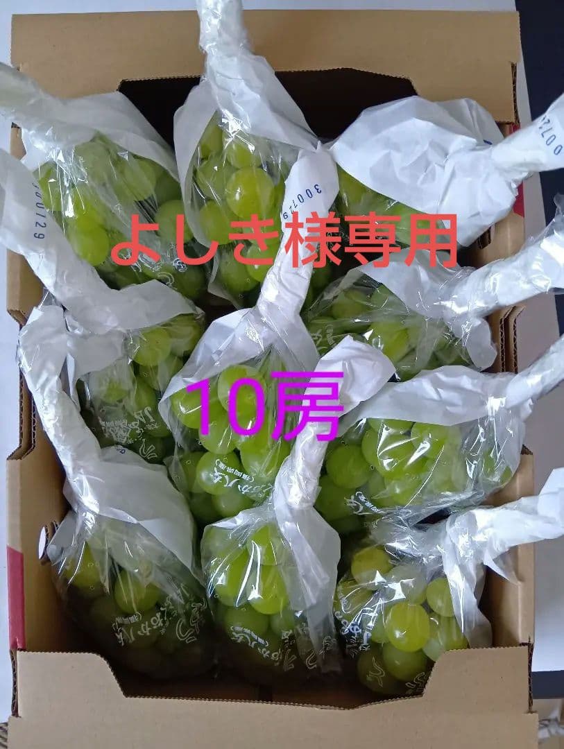 【シャインマスカット10房⑧】ぶどう 福岡県産 シャインマスカット