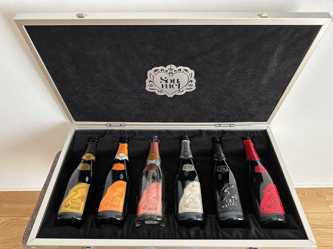 Soulmet アルミケース(空き瓶6本付き)