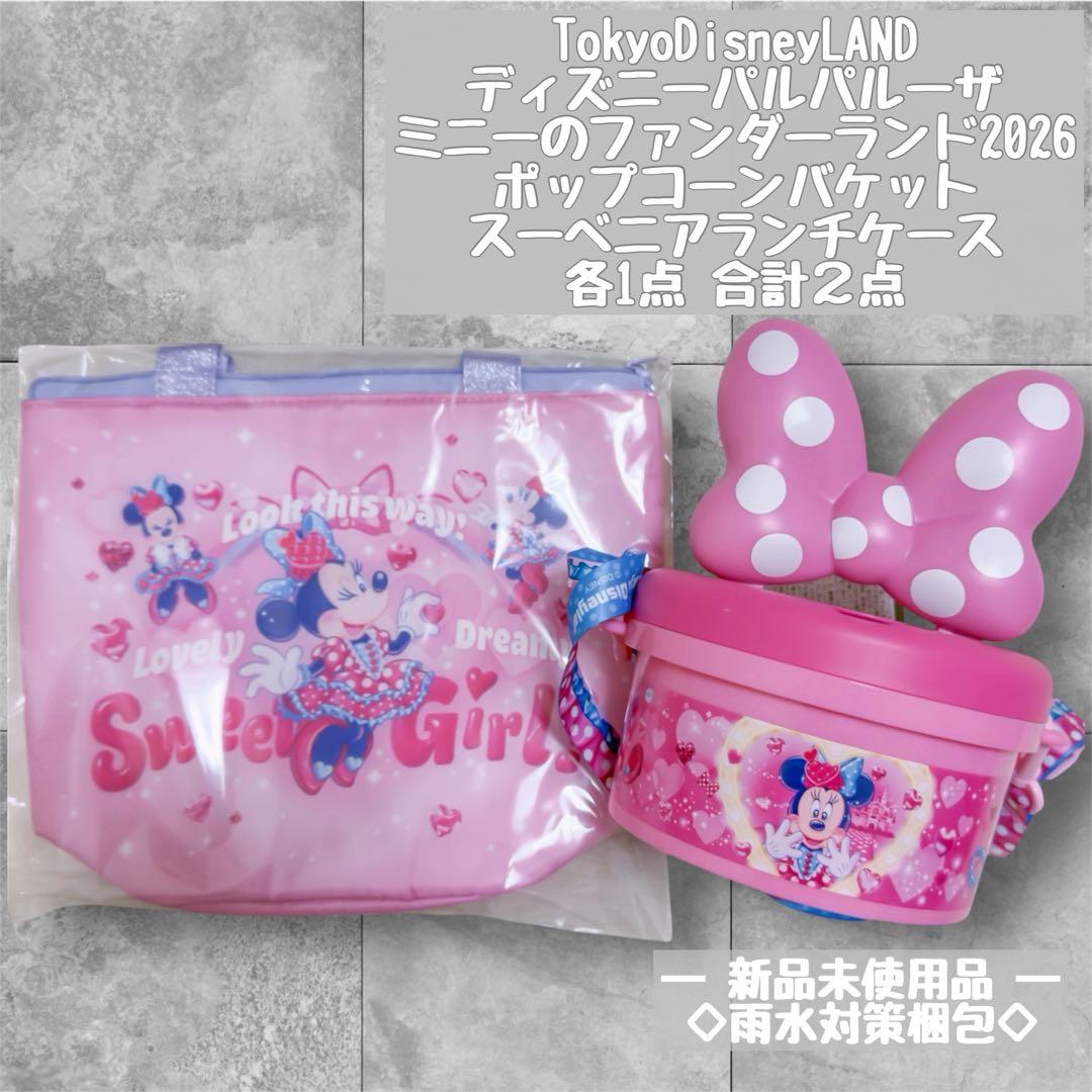 ミニー ファンダーランド パルパルーザ ポップコーンバケット スーベニア