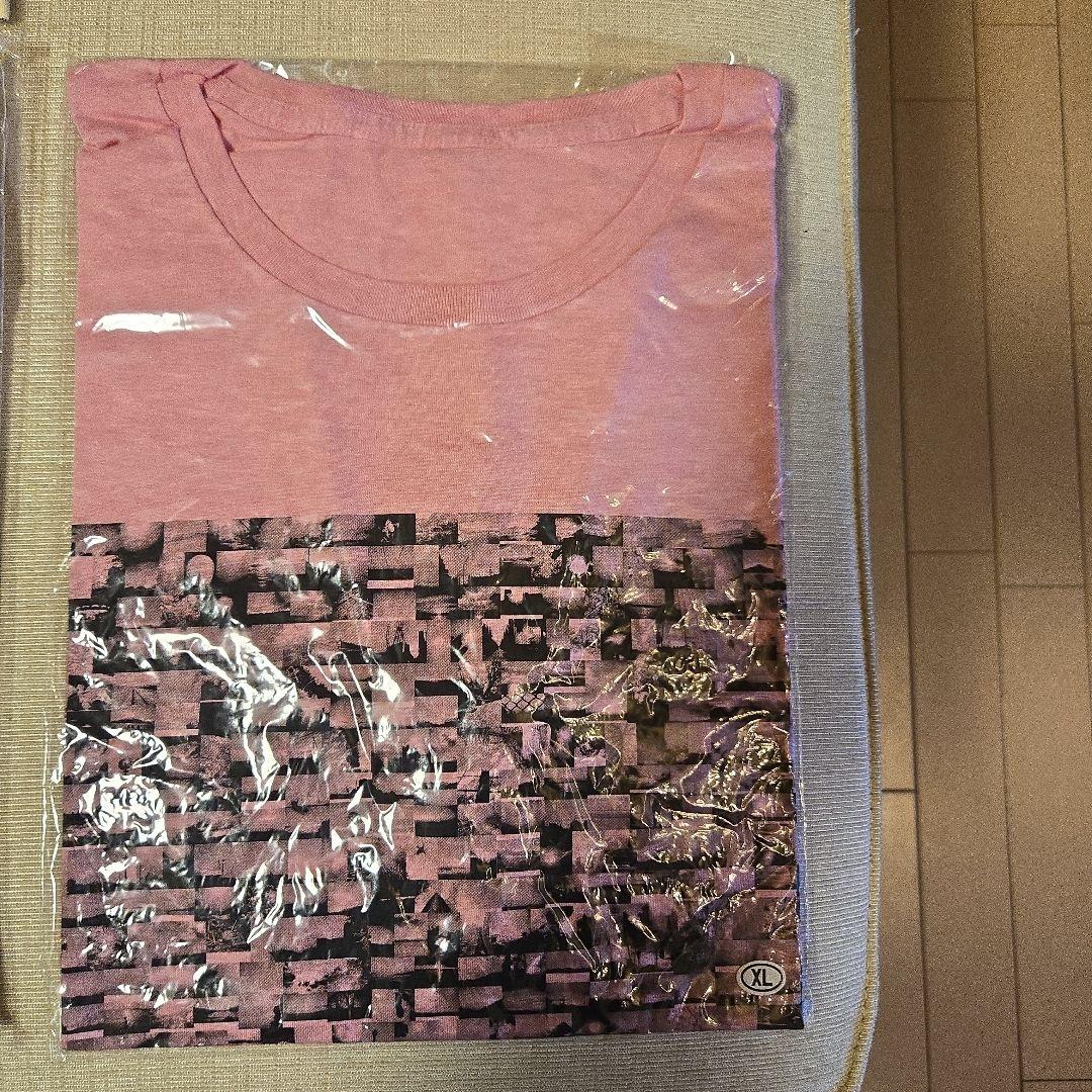 ACIDMAN　Tシャツ　１２点セット