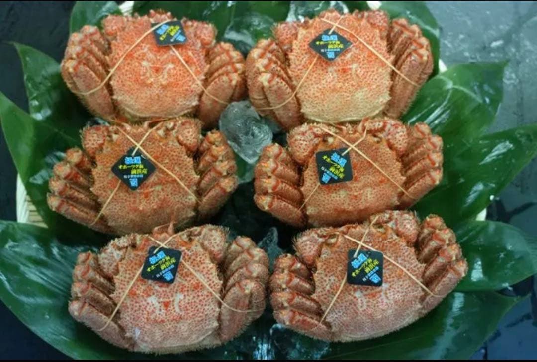 新物　毛蟹　ボイル冷凍　450g 3尾セット