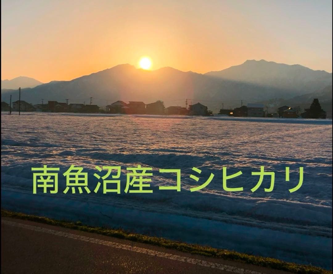 コシヒカリ精米１０キロ(南魚沼産)
