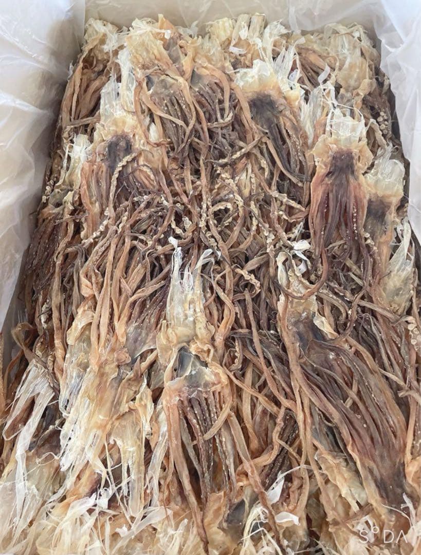 『大人気！』真いかするめ足【2kg】