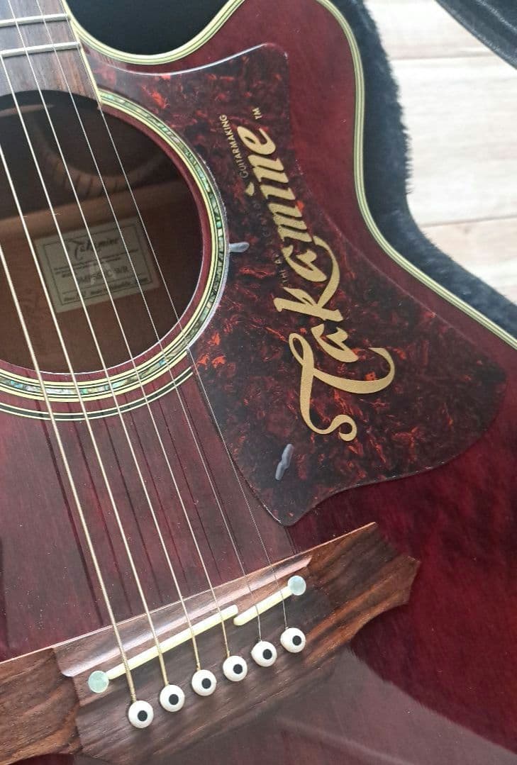 Takamine DMP551C WR アコースティックギター