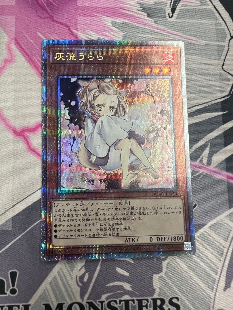 QCAC-JP050 灰流うらら クオシク　絵違い　25th