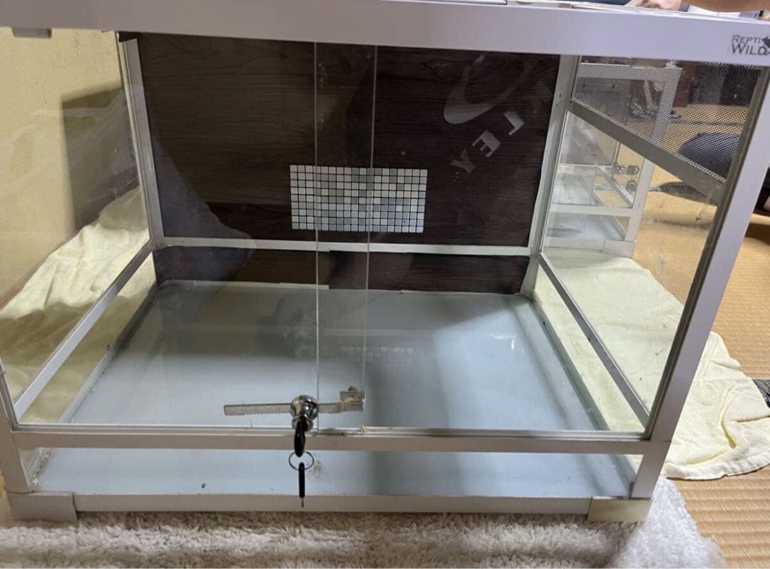 パンテオン60×45