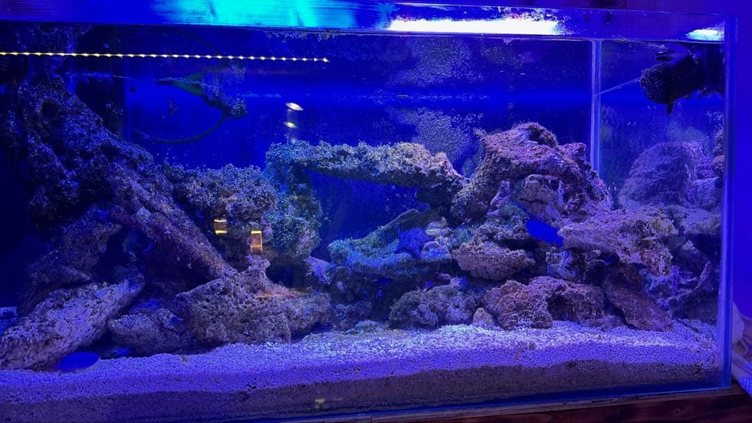 ライブロック　5kg