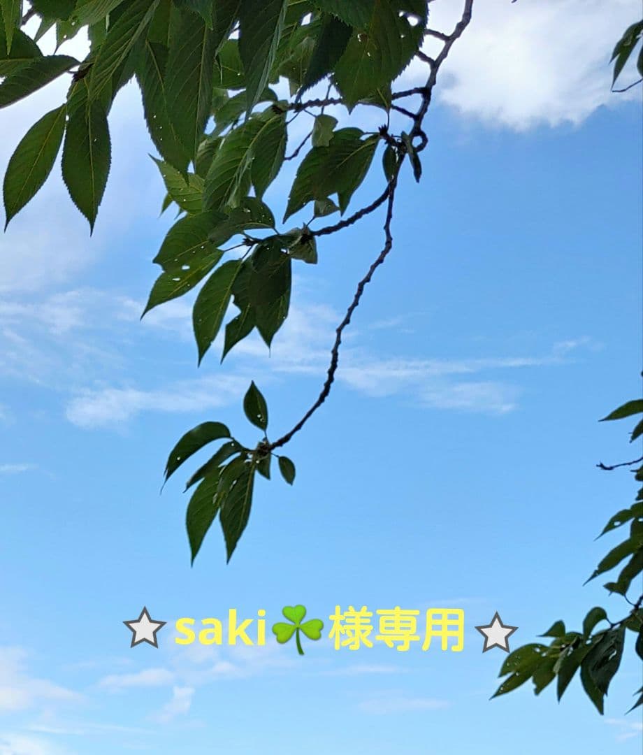 saki☘️の商品になります⭐