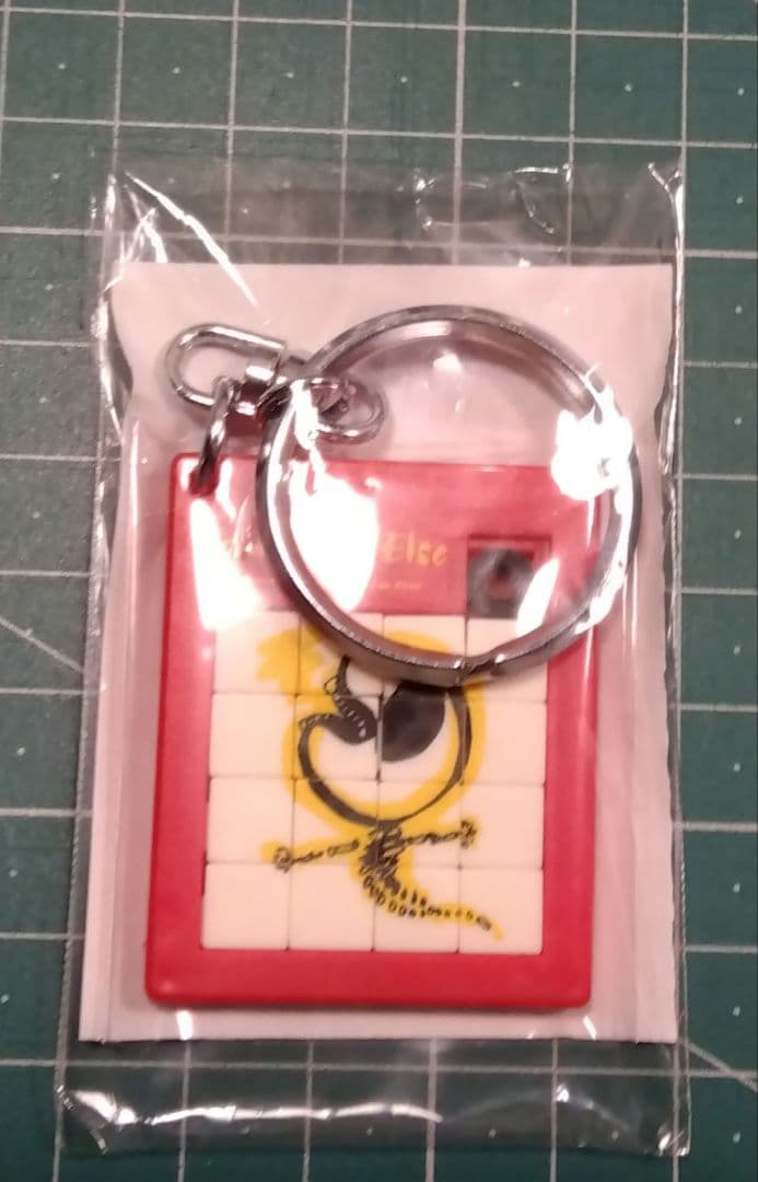 未開封★斉藤和義★サムシングエルス　ファンクラブ　更新グッズ