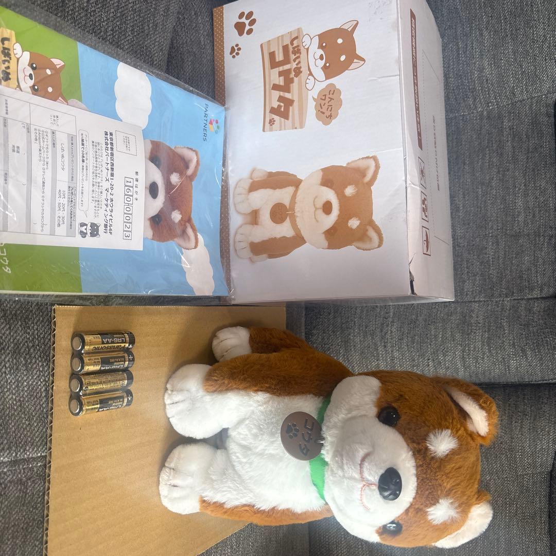 しばいぬコウタ　バンダナ無し