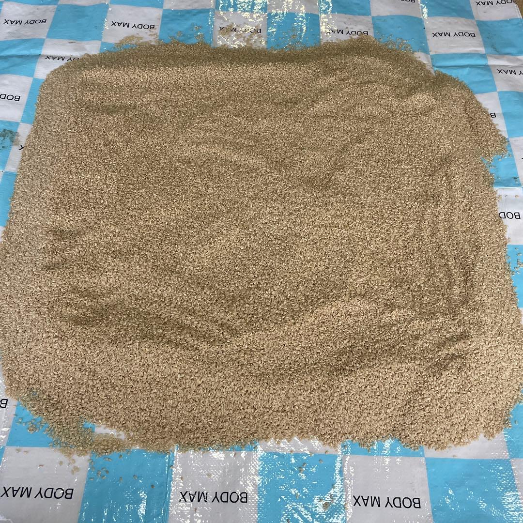 能登産コシヒカリ玄米　令和6年産　20kg