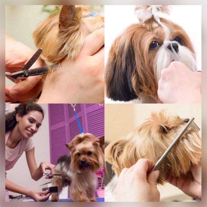 ❤プロも愛用する本格的な6点フルセット❣初心者でもトリミングしやすい♪❤