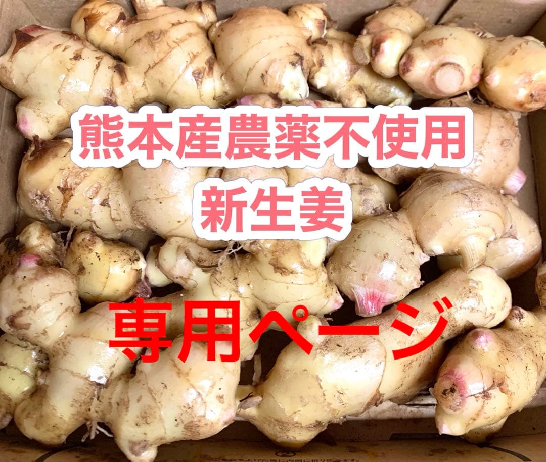 南国の山ちゃんページ