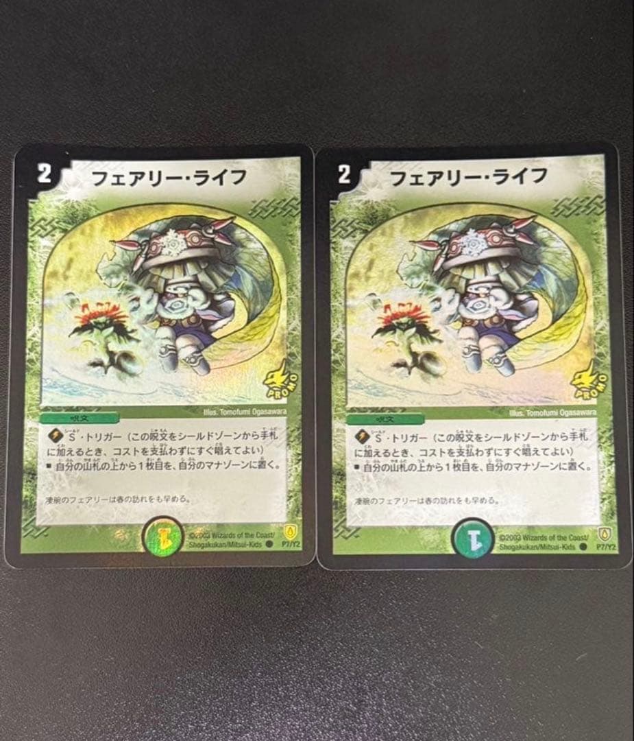 フェアリーライフ 初期プロモ