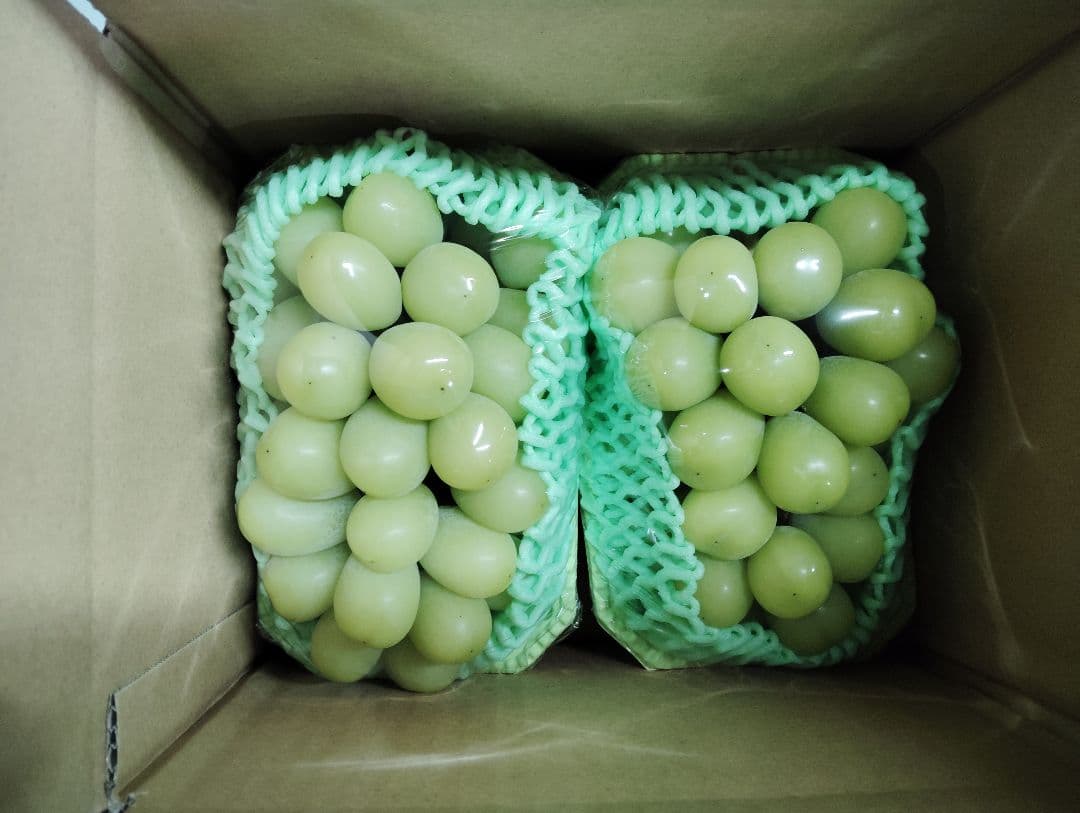 贈答用　シャインマスカット　二房　1.2kg以上