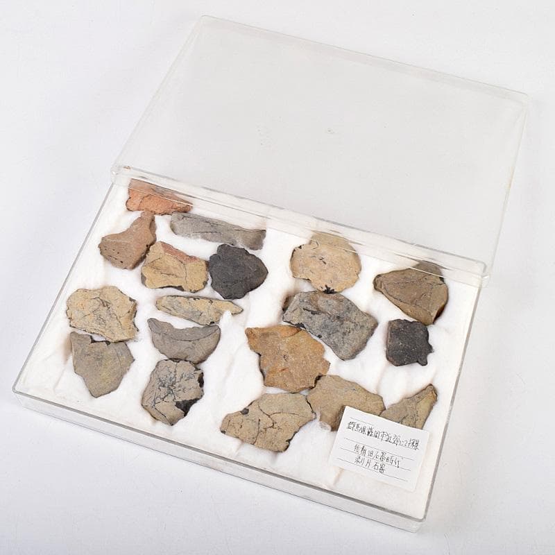 群馬県藤岡市近郊出土　後期旧石器時代　剥片石器　18点まとめて　C　R9313